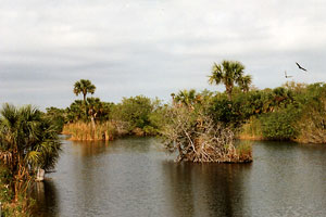 everglades-national-park