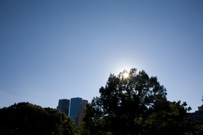 New Yorks skyline över Central Park
