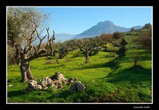 Vackra gröna landskap i Sicilien