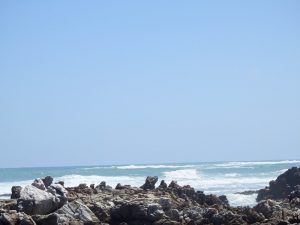 DSCN2701